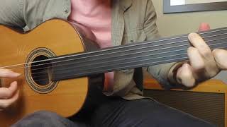 Fretless Guitar Minute 40  Buzz Gravelle [upl. by Attenehs]