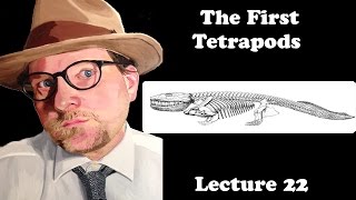 Lecture 22 The First Tetrapods [upl. by Orazal80]