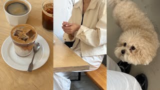 vlog 샐러드 만들기 광안리 카페 10월 일상 ⁺ ⊹ ﾟ⋆ [upl. by Durer]