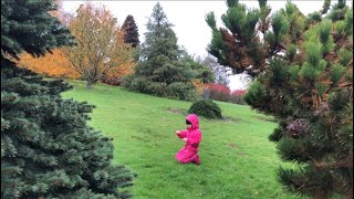 🇵🇭 Bedgebury Pinetum Forest Kent England Rainy Autumn Walk and Foraging [upl. by Nuahc]