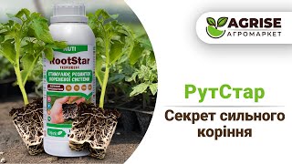 Секрет Сильного Коріння  Укорінювач РутСтар [upl. by Toll]