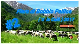 Fiera di Bobbio Pellice  d la Calà  2017 2 [upl. by Ilanos]