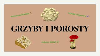 9 Grzyby i porosty  budowa cykle rozwojowe  matura z biologii 🍄 darmowe korepetycje 💰 liceum [upl. by Llirrehs]