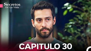 Secretos De La Vida Capítulo 30 Doblado En Español [upl. by Ecinaej809]