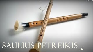 Lithuanian folk instrument Birbyne Baltic Vikings Calm Music Folk Music Saulius Petreikis [upl. by Sikko161]