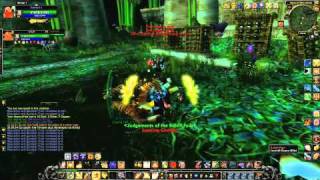 WoW IRZulGurub Mount Run Razzashi Raptor and Zulian TigerHD [upl. by Lleda614]