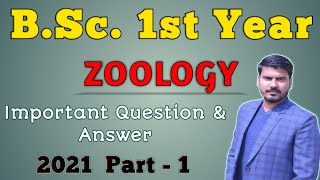 BSc 1st Year Important Question Answer Part  1  202122 [upl. by Enahpad732]