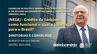 Crédito de carbono como funciona e qual o interesse para o Brasil [upl. by Anitra]