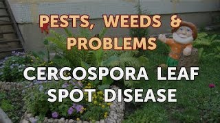 Cercospora Leaf Spot Disease [upl. by Atteniuq]