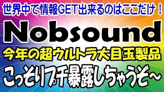 Nobsound 近未来に発売されるアンプが凄すぎてびっくり仰天！ [upl. by Aeht]