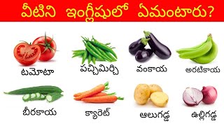 Vegetables name in English vegetables vocabulary English and Telugu vegetables names [upl. by Haleehs]