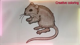 Draw and color a picture of a mouse with a long tail [upl. by Beal871]