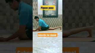 Ardha Kapotasana kaise Kare l How to do Half Pigeon pose l Daily Yoga l Pigeon Pose l [upl. by Airamesor]