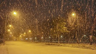 Apeldoorn verandert in winters landschap na forse sneeuwbuien [upl. by Eugen]