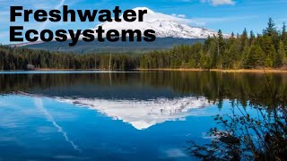 Top 5 Countries with the Most Freshwater countries facts [upl. by Wimsatt425]