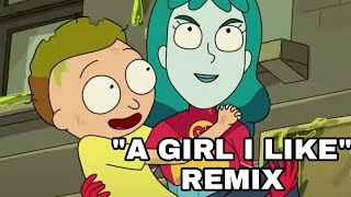 A Girl I Like  Rick and Morty Remix  Morty Beth And Planetina [upl. by Orabelle852]