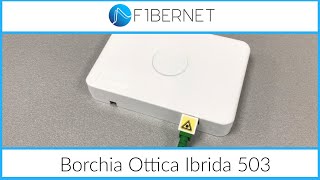 Borchia ibrida Fibernet installabile a muro o su scatola 503 [upl. by Mikeb747]