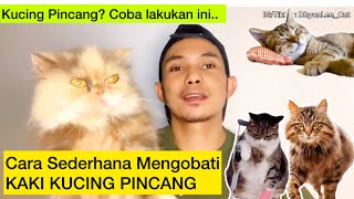 CARA MENGOBATI KUCING PINCANG  cara sederhana mengobati kucing Pincang [upl. by Ihsar]