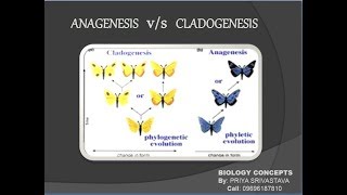 Anagenesis vs Cladogenesisquot BIOLOGY CONCEPTS quot where biology meets technology [upl. by Aseefan]