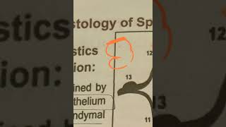 CNS and Long ascending sensory pathways in details [upl. by Ahseikram]