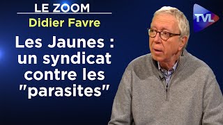 Syndicalisme jaune  le parti des intérêts nationaux  Le Zoom  Didier Favre  TVL [upl. by Marvella]