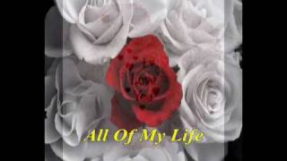 My Valentine Lyrics [upl. by Alioz]