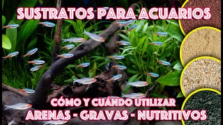 Sustratos para acuarios cómo y cuándo usar gravas  arenas ó sustratos nutritivos [upl. by Simmie]