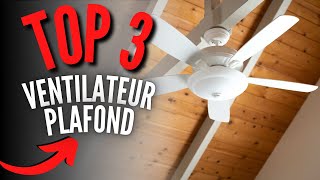 Meilleur Ventilateur de Plafond 2024 [upl. by Nelle296]