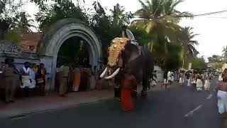 Elephant Attack Crowd  Padmanabha Swamy Temple [upl. by Leighton411]