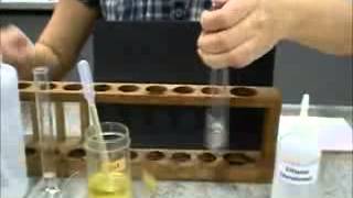 Ethanol Emulsion Test for Fats  A Level Biology [upl. by Rakia]