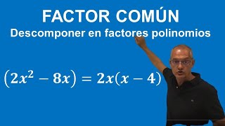 Factor común Descomponer en factores polinomios [upl. by Helaina49]