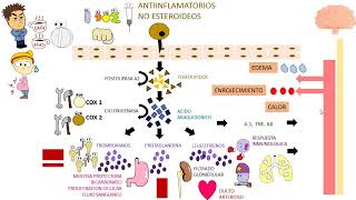 Antiinflamatorios No Esteroideos  AINEs [upl. by Cyrill]