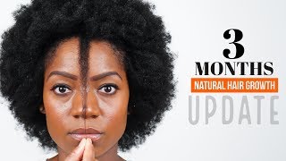 3 Months Natural Hair Growth Length Check Hair Update July 2017 [upl. by Doowle]