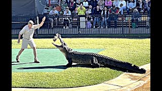 Australia Zoo Irwin feeds a Crocodile [upl. by Geoffry483]