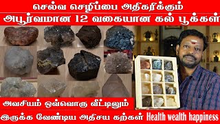 செல்வ செழிப்பை அதிகரிக்கும் அபூர்வமான 12 வகையான கல் பூக்கள் Dr மாயன்செந்தில்குமார் [upl. by Eseuqcaj436]