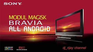 SONY BRAVIA ENGINE MAGISK MODULE [upl. by Ahsiugal]