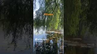 The Hidden Beauty of Ottawa’s Rideau River [upl. by Atiuqahs696]