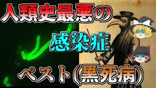 【ゆっくり解説】２億人の死者を出した史上最悪の感染症！？恐怖の細菌ペストとは（黒死病） [upl. by Rep]