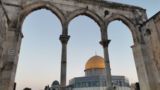 بوائك المسجد الأقصى المبارك في بيت المقدس Scales of the blessed AlAqsa Mosque in Jerusalem [upl. by Danby607]