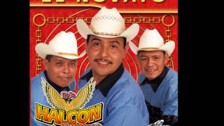 Halcon Huasteco mix completo primer disco el novato [upl. by Boor141]