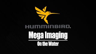 Humminbird Mega Imaging On the Water [upl. by Ayotel621]