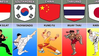 Martial Arts From Different Countries [upl. by Kcirdnekal]