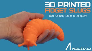 Whats So Special About 3D Printed Fidget Slugs [upl. by Cumine452]