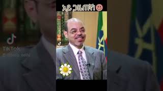 meleszenawi funny enterveiw [upl. by Carlile]