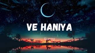 VE HAANIYA  Danny  LYRICS [upl. by Anaud734]