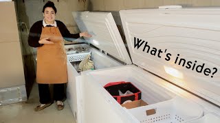 How We are Still Eating Fresh Veggies Out of the Garden in December Freezer and quotRoot Cellarquot Tour [upl. by Imaj845]