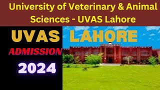 UVAS admission 2024 University of Veterinary amp Animal Sciences  UVAS Lahore Lahore Admission 2024 [upl. by Albrecht965]