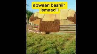 alle HN abwaan bashiir ismaaciil mire [upl. by Drofniw]