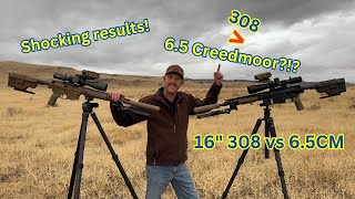 308 vs 65cm 16” DMR Duel [upl. by Ecinehs479]