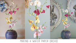 Make a Wafer Paper Orchid [upl. by Ayrolg]